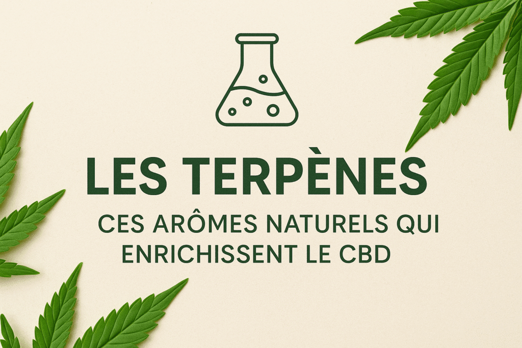 Terpènes fleurs cbd