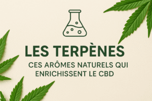 Terpènes fleurs cbd