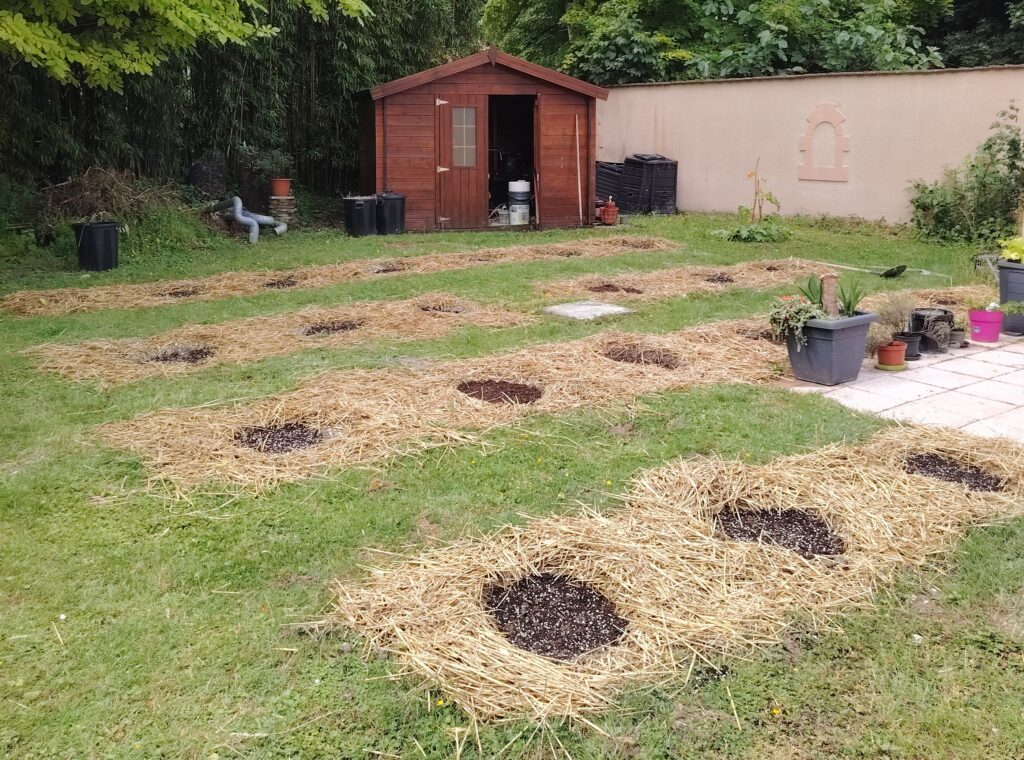 Preparation du terrain à la main