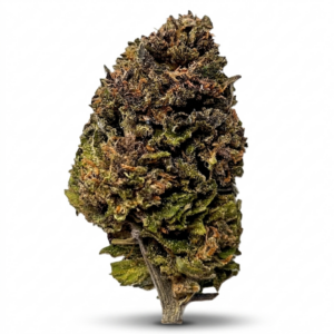 blueberry kush cbd