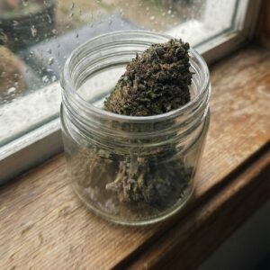 fleurs blueberry kush cbd dans un pot en verre