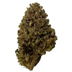 Straw Banana CBD (Outdoor)