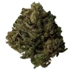 original cheese cbd bud