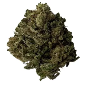 original cheese cbd bud