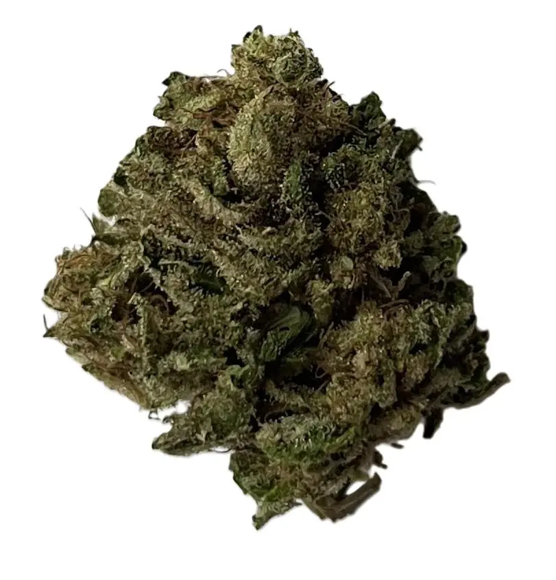 original cheese cbd bud