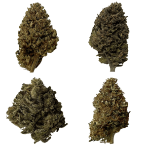 Pack dégustation fleurs CBD- lot de 4 fleurs