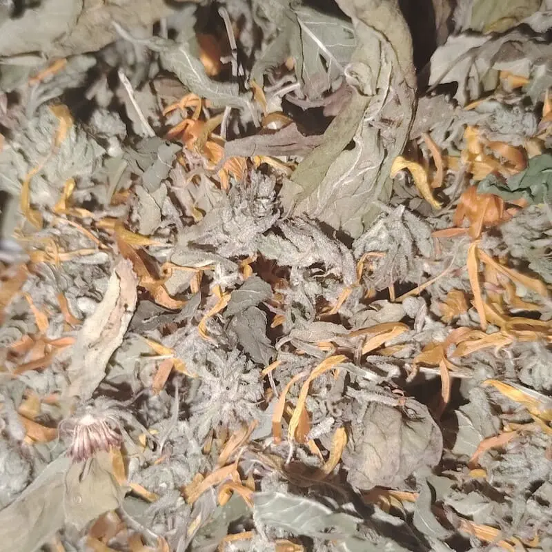 melange tisane douceur des ayeux