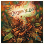 terpène Caryophyllène