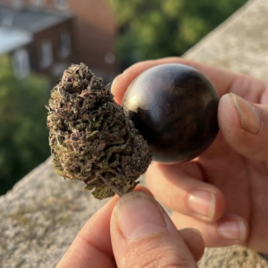 fleur et hash pack blueberry kush