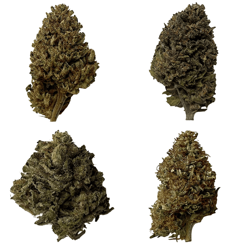 Pack cbd artisanal outdoor