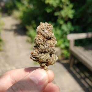 bud cbd sweet tarts du jardin