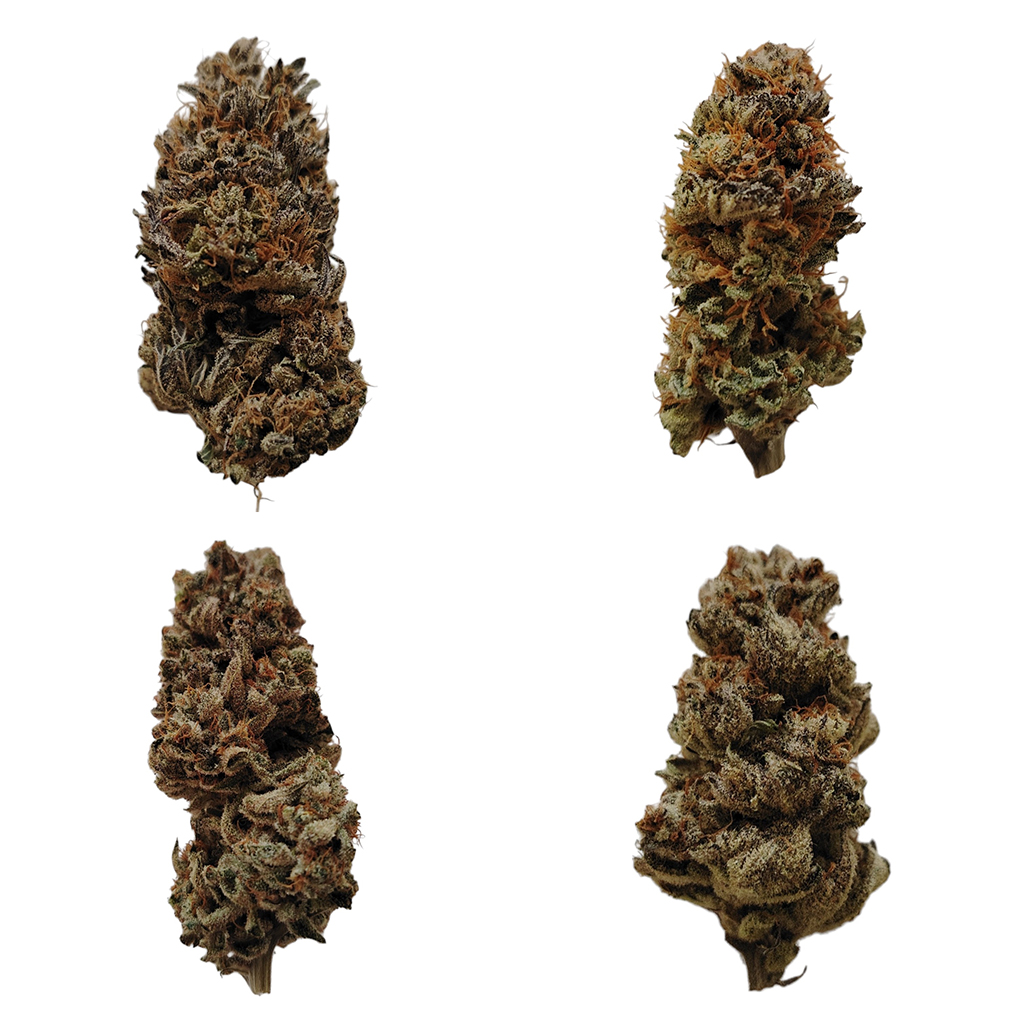 buds fleurs cbd pack degustation indoor