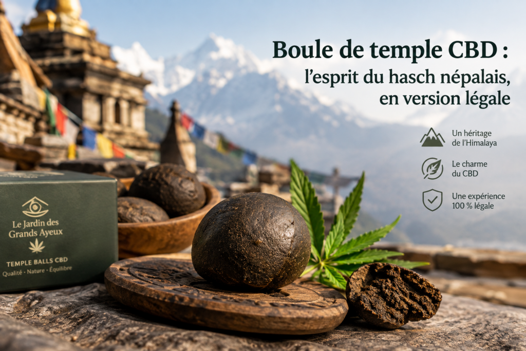Boule de temple CBD l’esprit du hasch népalais en version légale