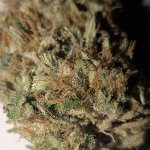 zoom bud sour cali lime sec