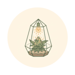 categorie-indoor-icone
