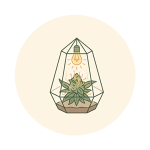 fleur indoor
